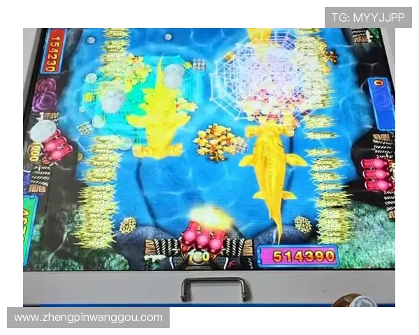 轻松掌握ag电玩捕鱼攻略让你成为捕鱼高手每日收入稳步提升