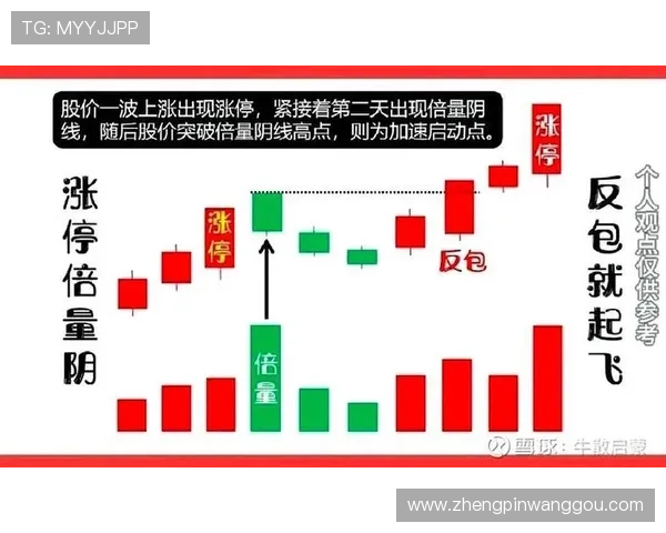 掌握抢庄牌九的策略与技巧提升你的胜率