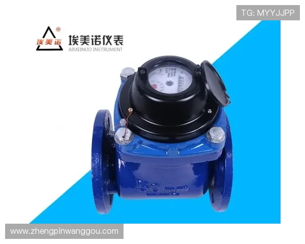 K8凯发滚球盘安全性分析及风险控制指南帮助玩家规避潜在风险 K8凯发滚球盘安全性分析及风险控制指南帮助玩家规避潜在风险