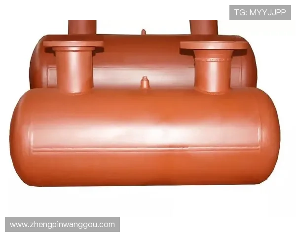 凯发国际平台首页官网详细解析平台安全措施、支付方式及用户隐私保护策略