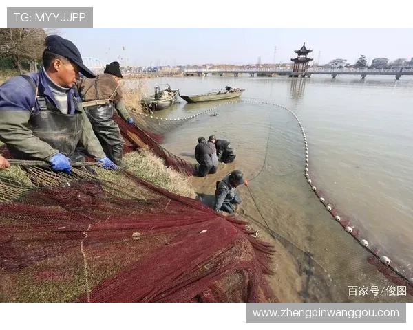 K8捕鱼技巧提升捕鱼效率的实用技巧与常见误区解析