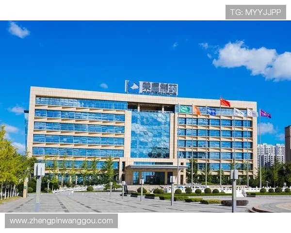 全面解析k8凯发数字站的安全性与稳定性，保障玩家资金与信息安全的实用指南