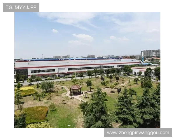 凯发集团下载官网网址官方平台，提供多种设备的下载安装支持指南